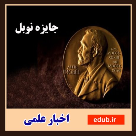 جایزه نوبل+نوبل فیزیک+نوبل شیمی+نوبل پزشکی+نامزد نوبل+اخبار علمی