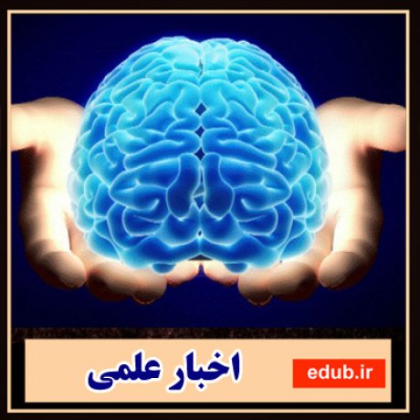 حضور ۲۸۶۰ شرکت دانش بنیان در زیر شاخه برق و الکترونیک