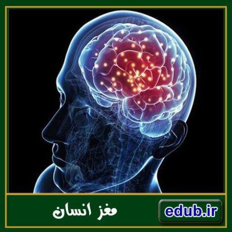 بانک مقالات