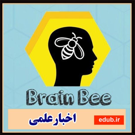 برگزاری مسابقه دانش آموزی Brain Bee
