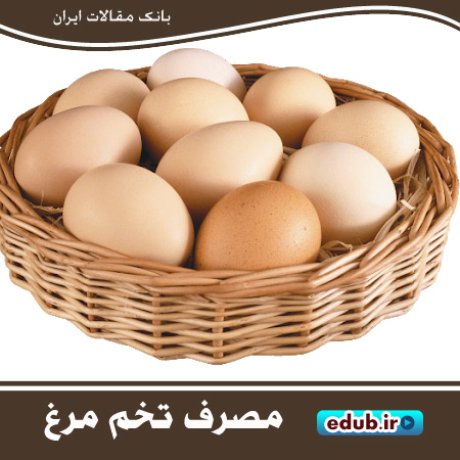 مصرف روزانه تخم مرغ برای قلب مضر نیست