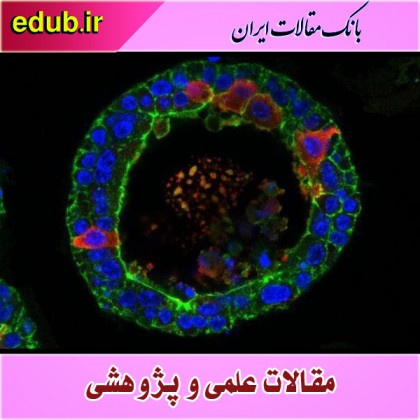 ابداع غدد اشک مینیاتوری که گریه می‌کنند