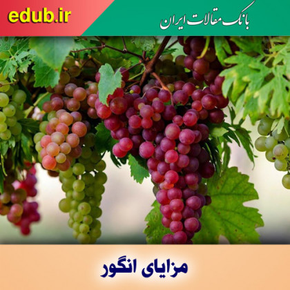 مزایای انگور برای سلامت