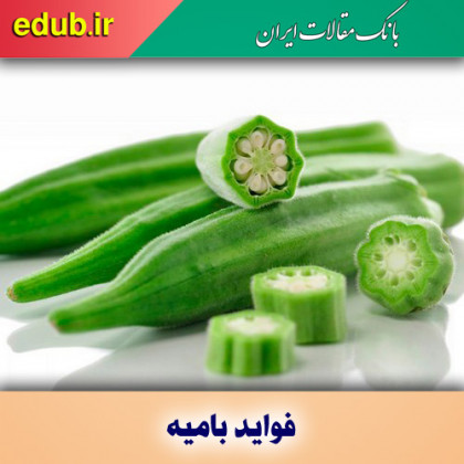 بامیه ، گیاهی شگفت انگیر در درمان دیابت