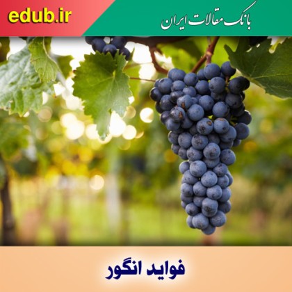 انگور و افزایش تنوع زیستی روده