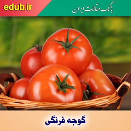آب گوجه فرنگی و کاهش کلسترول