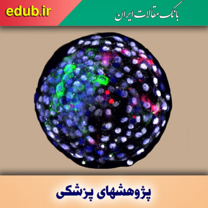 رشد سلول انسانی در جنین میمون و احیای بحث‌های اخلاقی