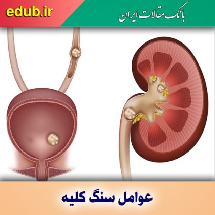 مهم‌ترین عوامل سنگ کلیه
