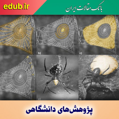 ساخت مواد جدید با الهام از تار عنکبوت