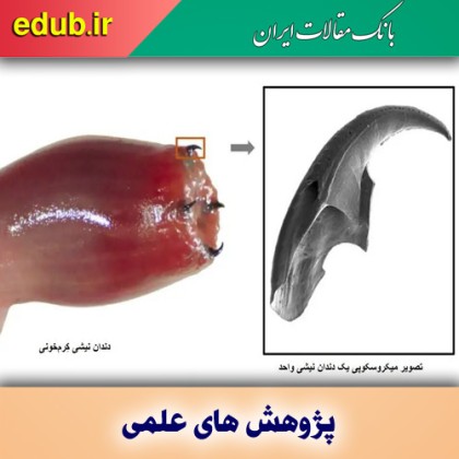 کِرم خونی اعماق اقیانوس، الهام‌بخش مهندسی مواد