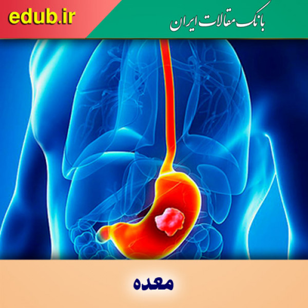 خوراکی‌هایی که به معده شما آسیب می‌زنند