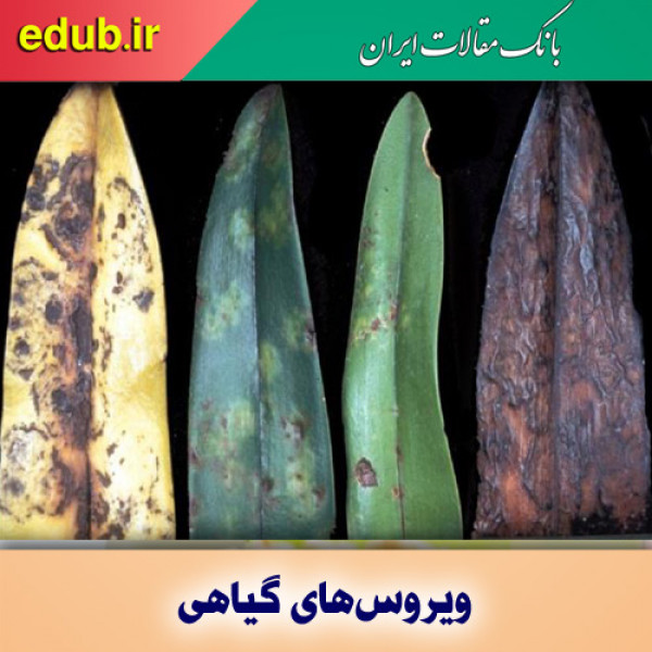 ویروس‌های گیاهی: نانو ذرات طبیعی