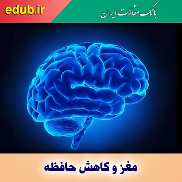 ۶ پیشنهاد سالم برای فعال نگه داشتن حافظه با افزایش سن 