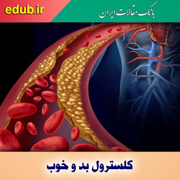 روش‌هایی برای کاهش فوری کلسترول 