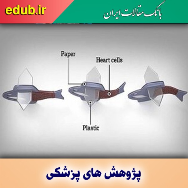 ساخت ربوماهی زنده از سلول‌های قلب انسان