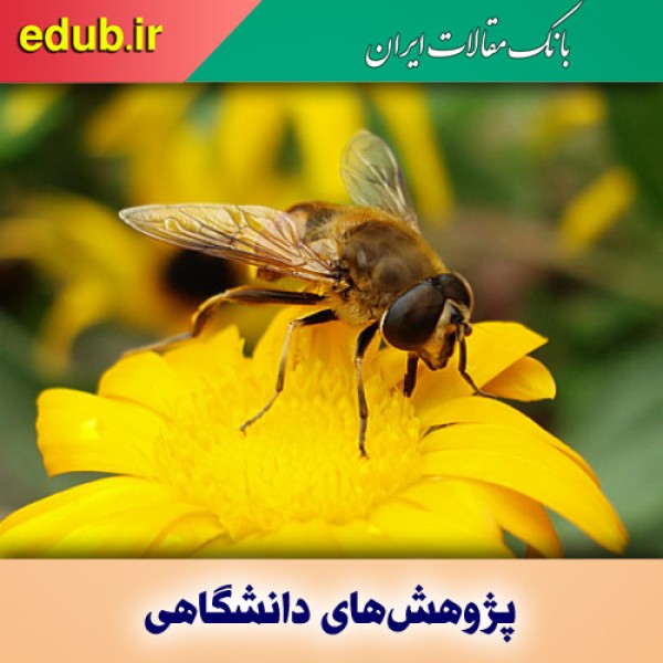 کشف راز سلامتی زنبورها