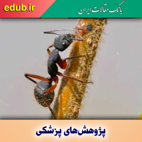 کاهش درد با استفاده از زهر مورچه