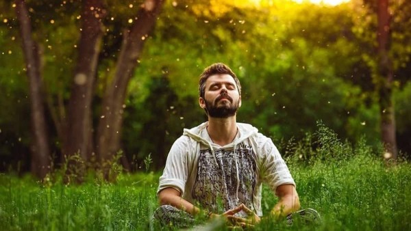 درباره خواص آفتاب پاییزی بیشتر بدانیم