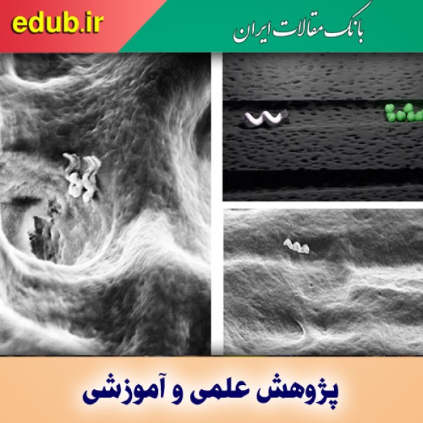 درمان دقیق عفونت ریشه دندان با استفاده از نانوربات