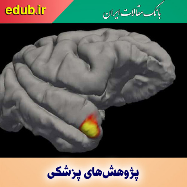 کشف طبقه جدیدی از سلول‌های حافظه در مغز