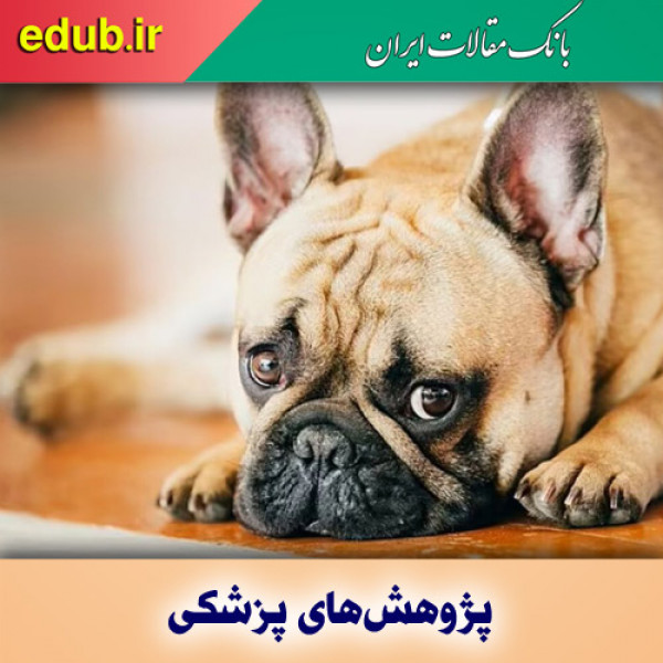 کشف گونه‌ای جدید از ویروس کرونا که منشاء آن سگ‌ها هستند