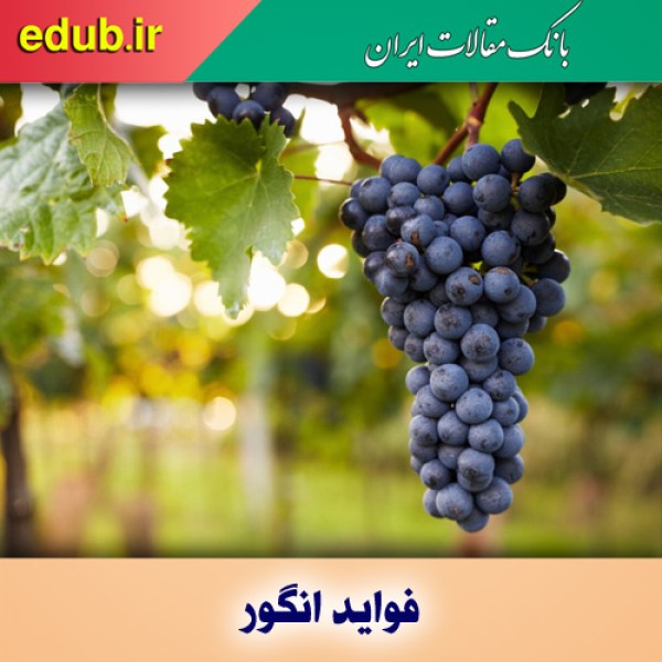 انگور و افزایش تنوع زیستی روده