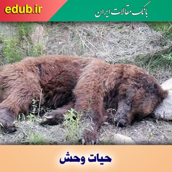 روز سیاه حیات وحش یا آموزش‌وپرورش؟