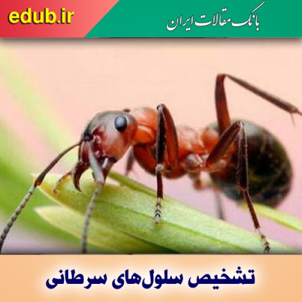 مورچه‌ها تشخیص‌دهندگان کوچک سرطان