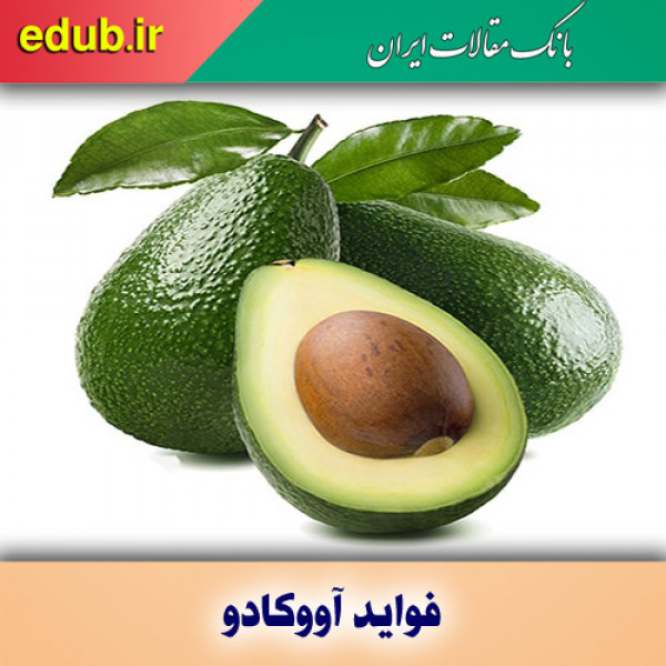 آووکادو توزیع چربی شکمی زنان را تغییر می‌دهد