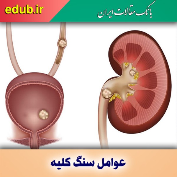 مهم‌ترین عوامل سنگ کلیه