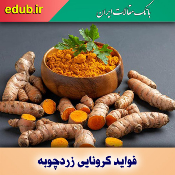اثبات اثر زردچوبه در پیشگیری از کرونا