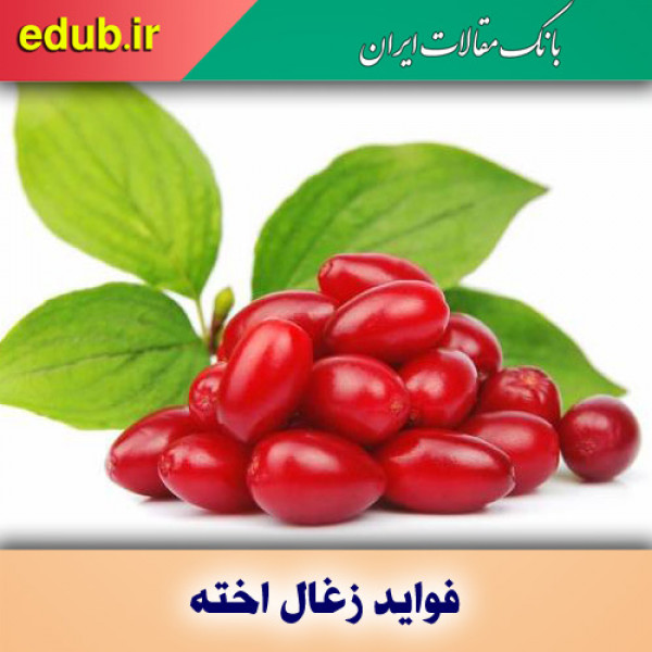 فواید و خواص زغال اخته