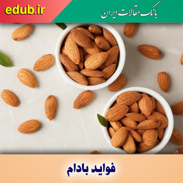بادام با کلسترول و چاقی می‌جنگد