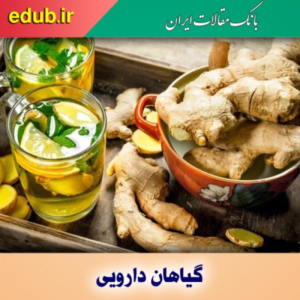 زنجبیل گزینه مناسب برای درمان کمکی بیماری التهاب روده