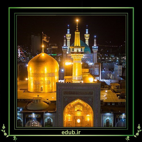 حیات سیاسی امام رضا(ع)