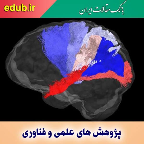 استفاده از نماپردازشگر برای تشخیص اتصالات مغزی