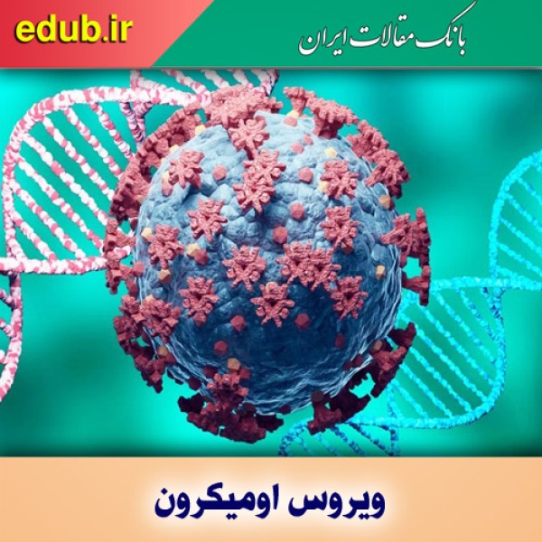 سویه امیکرون سویه غالب کشور